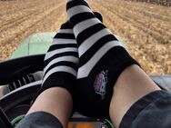 Josi's Socken vom Land *Black Cow* - Peine Zentrum