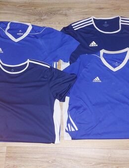 Adidas Climacool Tshirt (Größe Xl und 2Xl) - Frankfurt (Main)