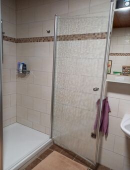 Duschtür für Nische, Zweitdusche oder Renovierung - Aldenhoven