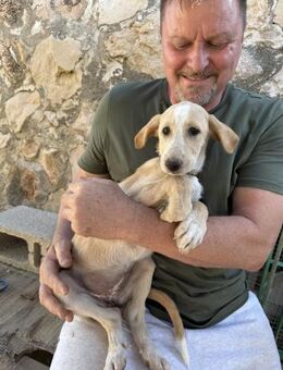 VIOLA sucht ihre Familie 💞 - Völklingen