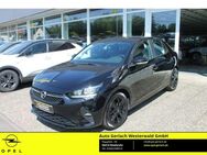 Opel Corsa F 1.2 EU6d Edition Apple CarPlay Android Auto Musikstreaming DAB SHZ LenkradHZG - Niederahr