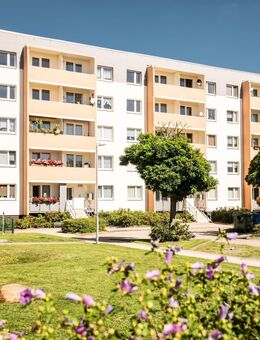 Platz für die Familie - Wir sanieren für Sie 4-Raumwohnungen in Sandersdorf ! - Sandersdorf Sandersdorf