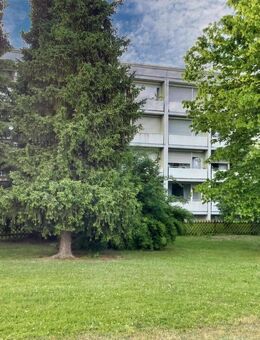 Einziehen und wohlfühlen - Ingolstadt