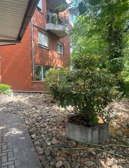 Barrierefreies Wohnglück in Bestlage von Bad Rothenfelde | Sonniger Südbalkon & Tiefgarage - Bad Rothenfelde