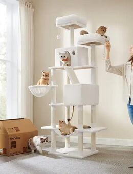 XXL Kratzbaum 206 cm – Der perfekte Spiel- und Rückzugsort für Ihre Katzen Weiss Set34425 - Ingolstadt