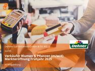 Verkäufer Blumen & Pflanzen (m/w/d) Markteröffnung Frühjahr 2025 - Magdeburg