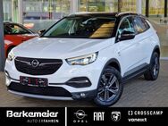 Opel Grandland X, 120 Jahre, Jahr 2019 - Greven (Nordrhein-Westfalen)