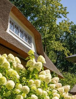 Einzugsbereites Reetdachanwesen mit Traumgarten - Wedel