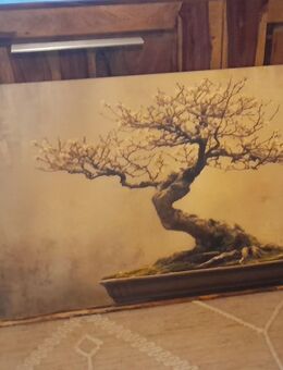 Bonsai Foto auf Leinwand - Gelsenkirchen Rotthausen