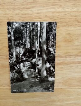 Ansichtskarte-AK-799-Partie im Zauberwald. - Nörvenich