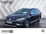 VW Golf Variant, 2.0 TDI Golf VII Alltrack L, Jahr 2020 - Lübben (Spreewald)