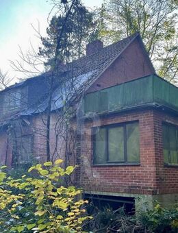 VERWUNSCHENE FAMILIENOASE IM GRÜNEN - Dannenberg (Elbe)