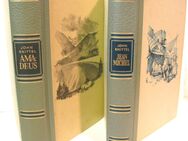2 Bücher von John Knittel aus den 1950er Jahren: Jean Michel + Amadeus - gut erhalten - Biebesheim (Rhein)