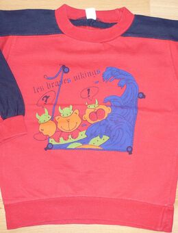 Pullover Gr.: 74/80
