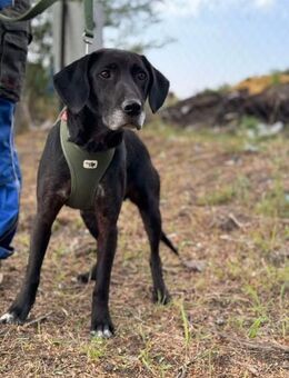 Eshley auf der Suche nach ihrem Glück - Berlin