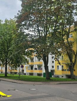 Sie suchen eine Wohnung im Geiseltal?? Wir haben Sie! - Braunsbedra