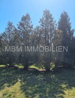 Familienfreundliche Immobilie in Bernsdorf - Bernsdorf (Regierungsbezirk Dresden)