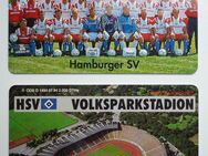 Fanartikel Hamburger SV aus Saison 1992/1993 Manschaft/Stadion - Frankfurt (Main)