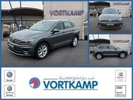 VW Tiguan, Highline IQLight Fahrassistenz, Jahr 2019 - Gronau (Westfalen)