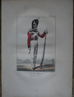 Lithografie von Delpech - koloriert : Garde Royale , Grenadier Suisse. , Nummer 376 , Schweiz , Militär - Uniform , Blatt 35cm x 25cm , M33 - Görlitz
