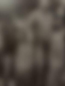 Pfe*** - Mühlhausen (Thüringen)