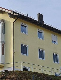 In guter Nachbarschaft: wunderschöne Grossterassenwohnung in zentrumsnaher Lage in Vilshofen/Donau - Vilshofen (Donau)