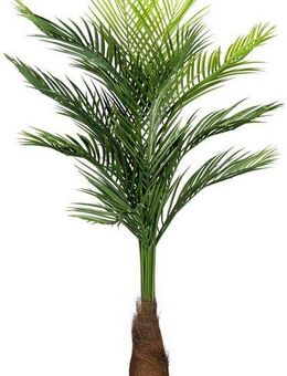 Kunstpalme Goldfruchtpalme Goldfruchtpalme, Creativ green, Höhe 140 cm