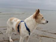 Hallo ich bin Yuma aus Berlin - Bedburg