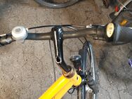 Grecos City-Bike 28" - Kiel