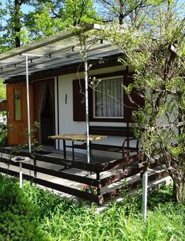Ihr Ferienbungalow im Wald, ruhig, grün am Stausee Quitzdorf - Quitzdorf (See)