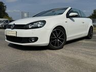 VW Golf, 1.2 l TSI Cabriolet Lounge, Jahr 2015 - Elmshorn