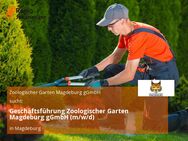 Geschäftsführung Zoologischer Garten Magdeburg gGmbH (m/w/d) - Magdeburg