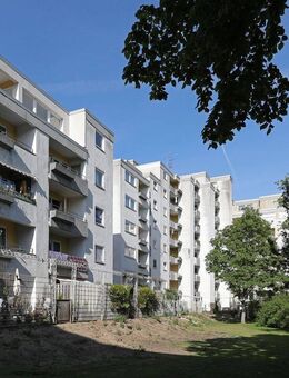 Gemütliche 1-Zimmer-Wohnung sucht Sie als neuen Mieter // DG , Links - Wolfsburg