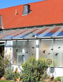 Rüthen-OT, EG- Eigentumswonung im 2- Familienhaus mit Garage, Carport, Garten mit Wintergarten und Gartenhaus - Rüthen