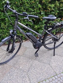 Triumph E-Bike Bird Ultra 500 zu Verkaufen ! - Berlin Steglitz-Zehlendorf