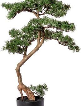 Kunstbonsai Bonsai Zeder Bonsai, Creativ green, Höhe 90 cm