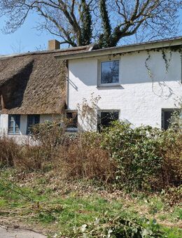 Hier können Sie sich verwirklichen ländlich gelegenes "Hexenhäuschen" bereit aus dem Dornröschenschlaf zu erwachen - Heide