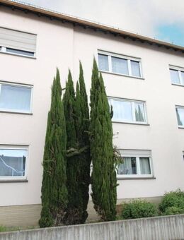 Großzügige 4-Zimmer-Wohnung mit Stellplatz und Keller im Hochparterre - Ludwigshafen (Rhein)