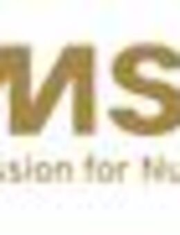 Wirtschaftsprüfer (m/w/d) - Berlin