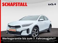 Kia - Bergheim (Nordrhein-Westfalen)