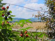 Ideal für Ruhesuchende und Pensionäre: DHH in Löbau-Ebersdorf mit schönem Garten am Ortsrand - Löbau