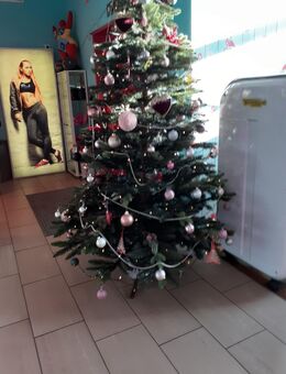 Winter und Frühjahr oder länger mit dir? - Berlin