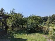 Frisch sanierte 3-Zimmerwohnung im 1. OG - Biesenthal