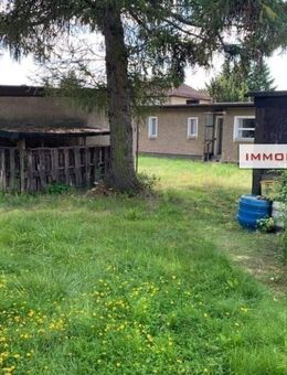 IMMOBERLIN.DE - Kleiner Bungalow und/oder Baugrundstück in herrlicher Lage - Berlin