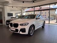 BMW X4 30d M Sport HiFi DAB LED WLAN RFK Shz - Pegnitz