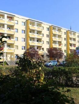 Erdgeschosswohnung - Dessau-Roßlau