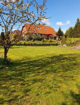 Unverbaubar, direkt am Naturschutzgebiet! Platz für Familien, zweiter Bauplatz auf 1.600 m² möglich! - Albersdorf (Schleswig-Holstein)