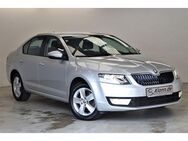 Skoda Octavia 1.8 TSI 179PS Lim. Ambition 4x4 DSG Navi - Teltow