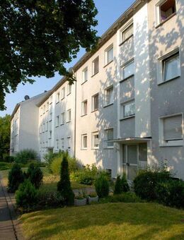 Einfach schön! 3-Zimmer Wohnung im Erdgeschoss in Bielefeld Senne - Bielefeld
