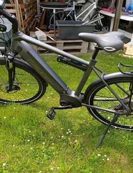 Herren E-Bike Raleigh - Bad Oeynhausen Werste
